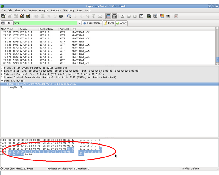 Arquivo:Wireshark data.png